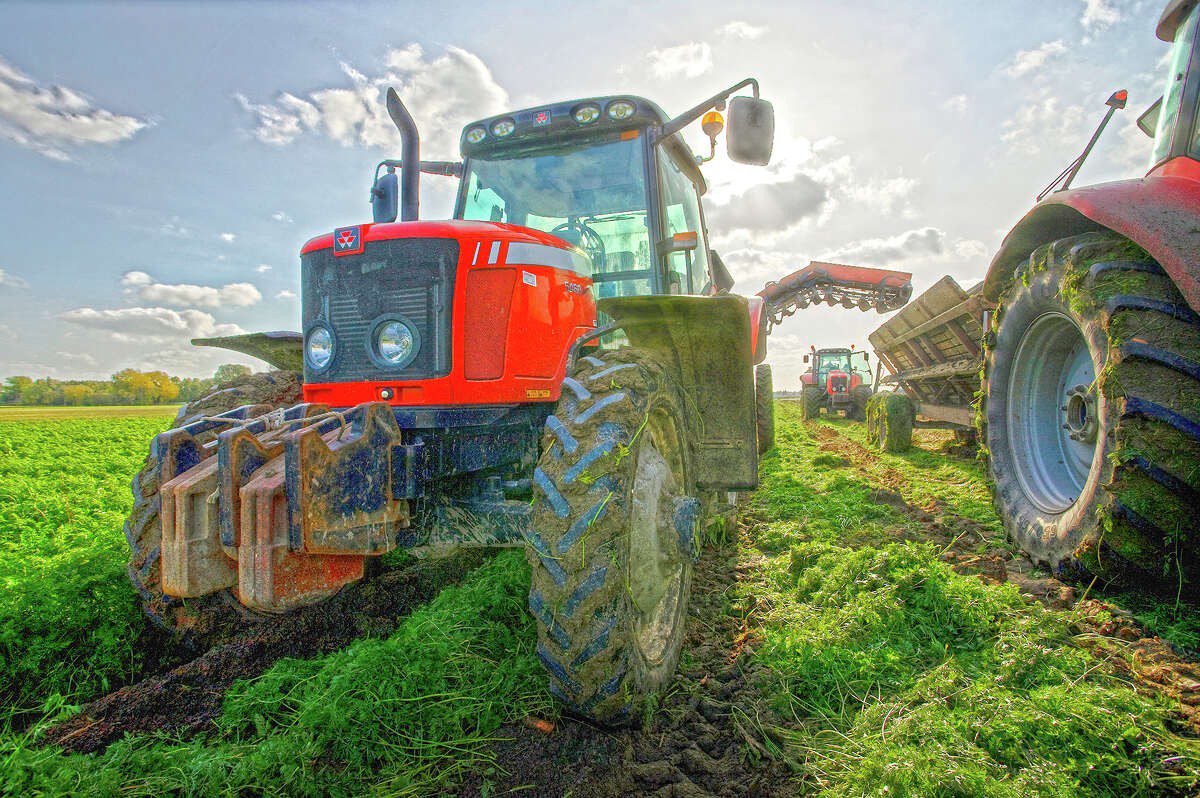 découvrez les dernières innovations en agriculture, des technologies de précision aux pratiques durables, pour améliorer la productivité et soutenir la planète. explorez comment les agriculteurs adoptent des solutions innovantes pour relever les défis agricoles de demain.