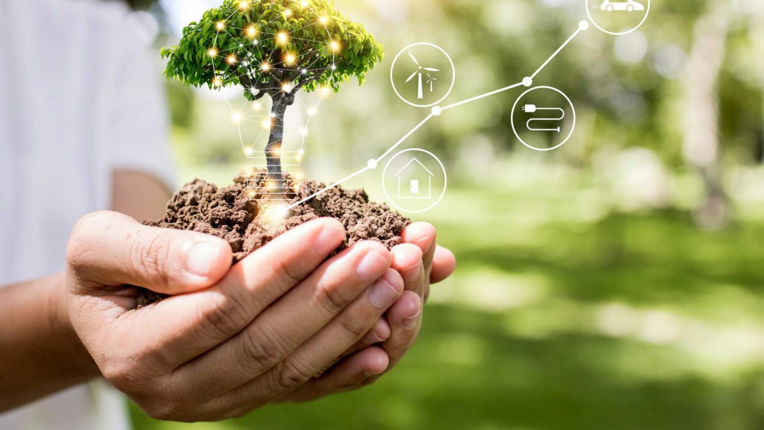 découvrez les dernières innovations en agriculture qui transforment notre façon de cultiver. des techniques durables aux technologies de pointe, explorez comment ces avancées améliorent la production, préservent l'environnement et garantissent une alimentation de qualité pour tous.