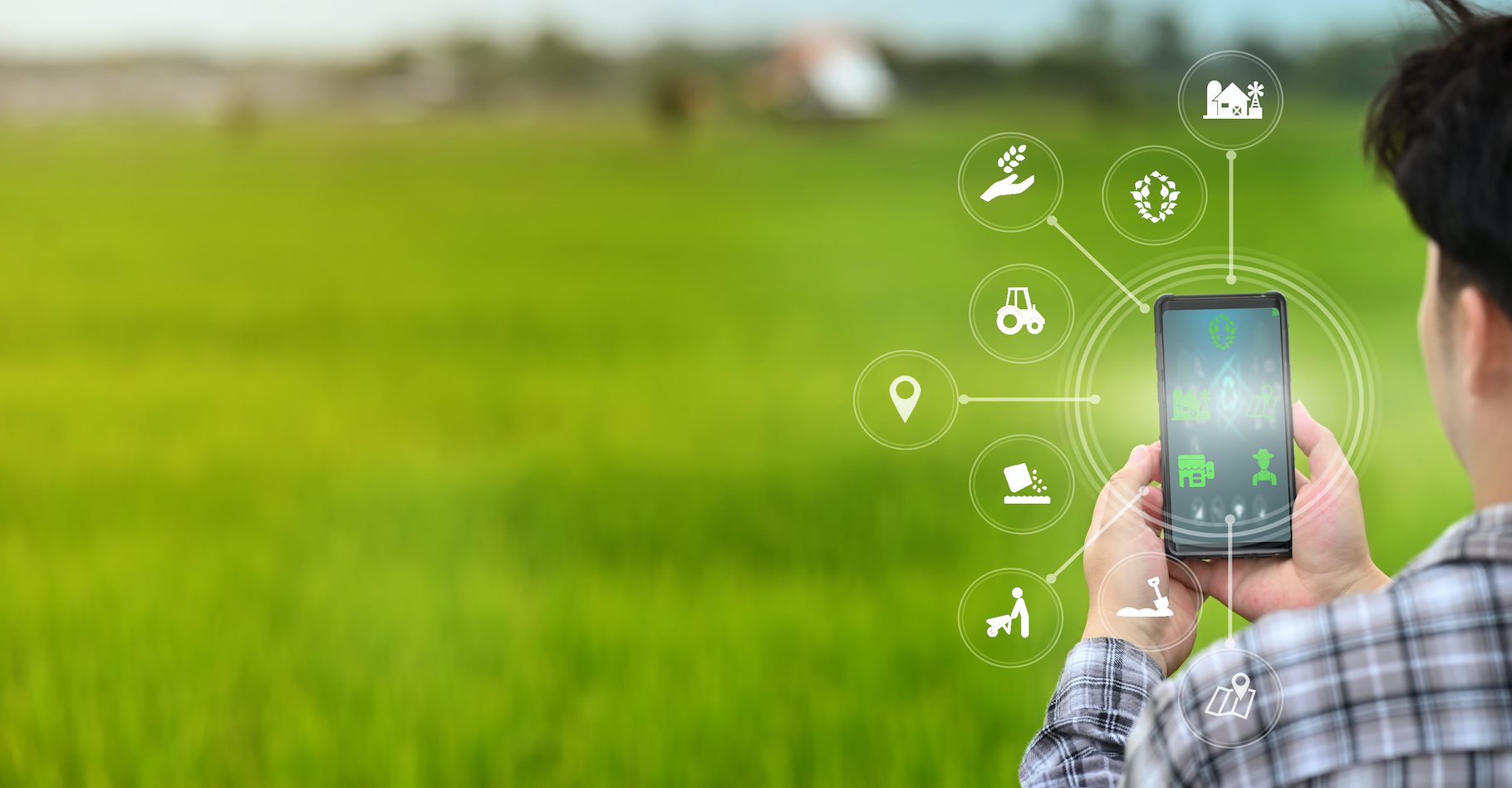 découvrez les dernières innovations en agriculture durable qui révolutionnent les pratiques agricoles. explorez des technologies et des méthodes respectueuses de l'environnement, visant à maximiser les rendements tout en préservant la biodiversité et les ressources naturelles.