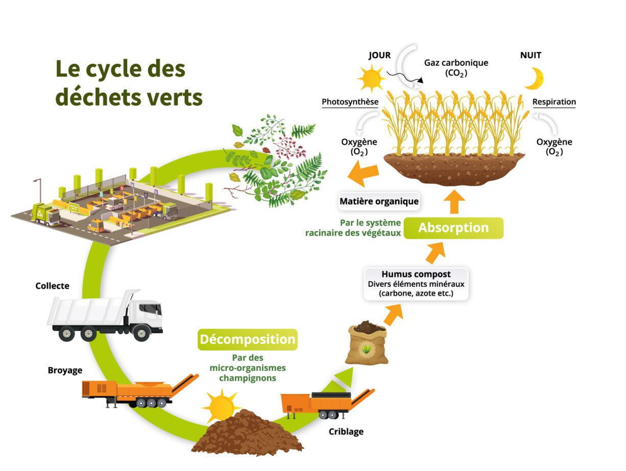 découvrez les dernières innovations en matière de gestion des déchets, des technologies de recyclage aux solutions durables pour réduire l'impact environnemental. explorez comment ces initiatives transforment notre approvisionnement et favorisent une économie circulaire.