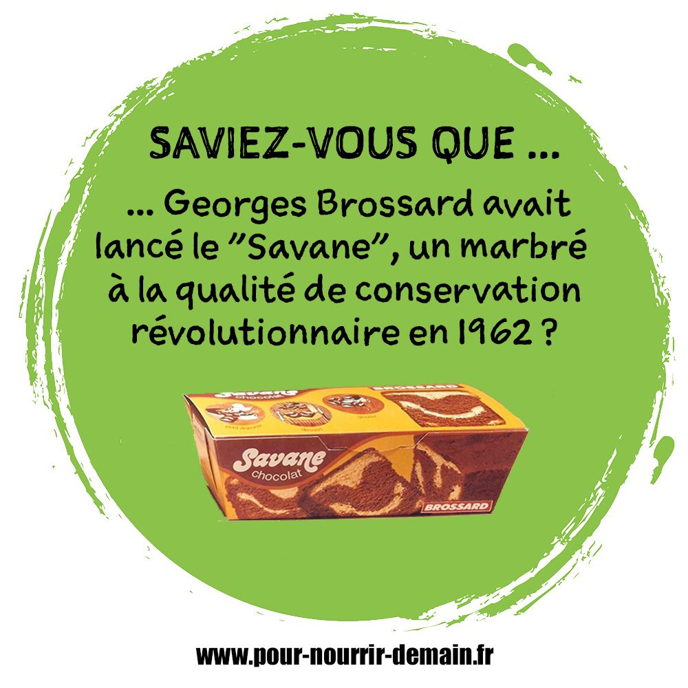 découvrez les dernières innovations en matière de conservation, alliant technologie et durabilité pour préserver notre patrimoine naturel et culturel. explorez des solutions innovantes qui permettent de protéger notre environnement tout en favorisant un avenir éco-responsable.