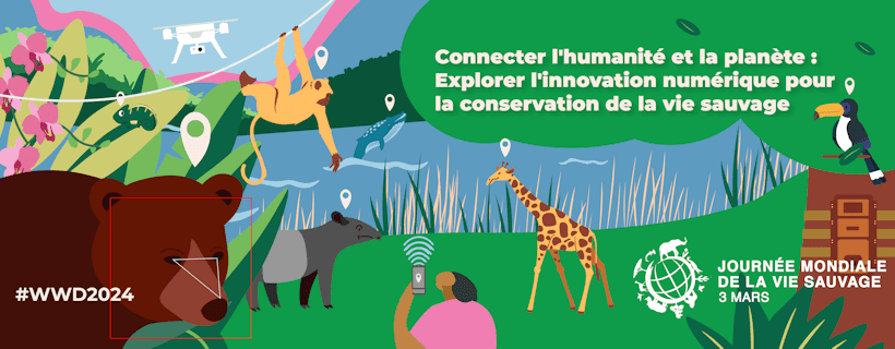 découvrez les dernières innovations pour la conservation qui révolutionnent notre approche de la préservation de l'environnement. explorez des technologies et des initiatives durables qui protègent notre planète et favorisent un avenir meilleur.