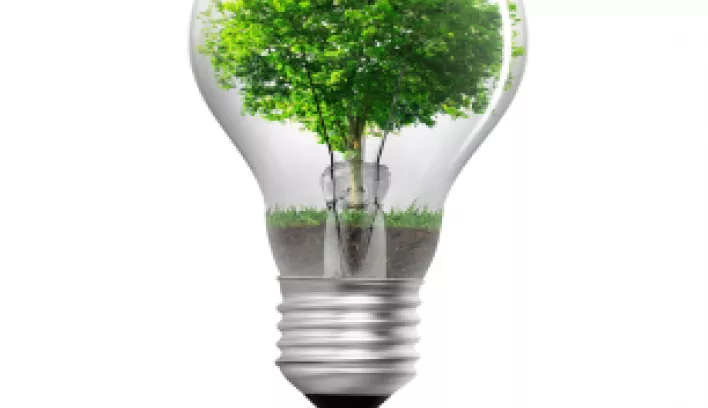 découvrez les dernières innovations vertes qui transforment notre avenir durable. explorez les technologies écologiques, les solutions énergétiques renouvelables et les initiatives respectueuses de l'environnement qui façonnent un monde plus vert.