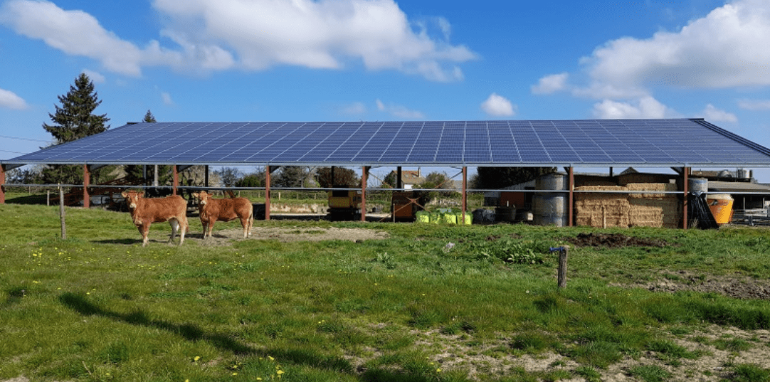 découvrez comment investir dans un hangar photovoltaïque pour tirer parti de l'énergie solaire. optimisez votre rendement tout en contribuant à une agriculture durable et en réduisant vos coûts énergétiques. explorez les avantages financiers et environnementaux d'un tel investissement.