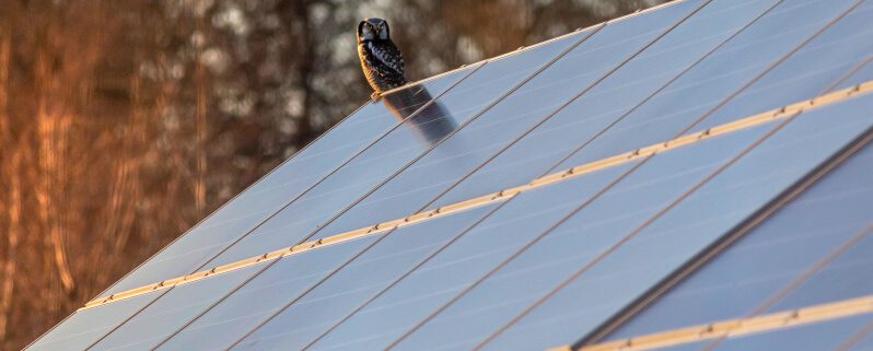 découvrez comment investir dans des panneaux photovoltaïques peut réduire vos factures d'énergie et contribuer à la transition énergétique. explorez les avantages financiers et environnementaux de cette solution durable dès aujourd'hui.