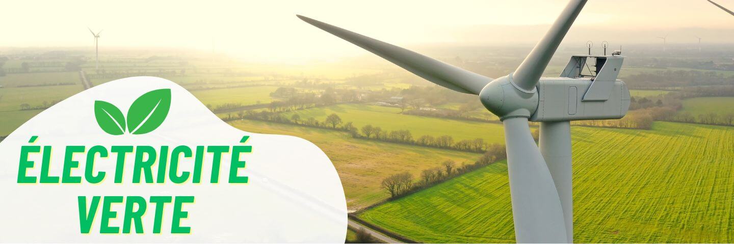 découvrez edf, leader en énergie verte, engagé dans la transition énergétique. profitez d’offres durables et innovantes pour un avenir énergétique respectueux de l'environnement.