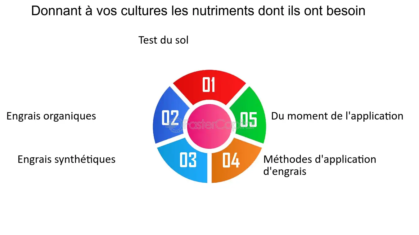 découvrez des stratégies efficaces pour maximiser la rentabilité de chaque hectare cultivé. apprenez à optimiser vos cultures, réduire les coûts et améliorer vos rendements pour une agriculture durable et prospère.