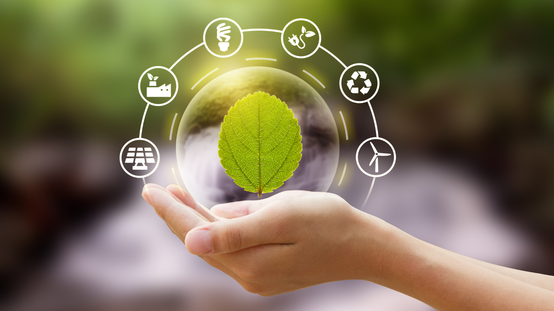 découvrez comment les normes écologiques influencent les pratiques des entreprises, favorisant une croissance durable et responsable. apprenez les exigences essentielles pour intégrer la durabilité au cœur de votre stratégie d'affaires.