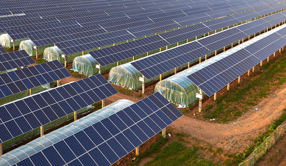 découvrez des opportunités énergétiques innovantes pour les fermiers, alliant durabilité et rentabilité. transformez votre exploitation agricole grâce à des solutions énergétiques adaptées et contribuez à un avenir plus vert tout en optimisant vos coûts.