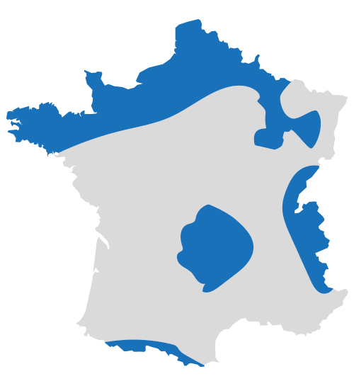 découvrez comment les fermiers peuvent tirer parti des nouvelles opportunités énergétiques pour optimiser leur production, réduire leurs coûts et contribuer à un avenir durable. explorez les meilleures pratiques et technologies pour transformer votre exploitation agricole.