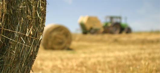 découvrez des stratégies innovantes pour optimiser l'énergie dans le secteur agricole. apprenez comment réduire les coûts, améliorer l'efficacité énergétique et adopter des pratiques durables pour un avenir agricole plus vert.