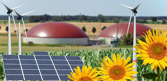 découvrez comment optimiser l'utilisation de l'énergie dans l'agriculture grâce à des pratiques durables et innovantes. améliorez l'efficacité de vos ressources, réduisez vos coûts et contribuez à un avenir agricole plus responsable.