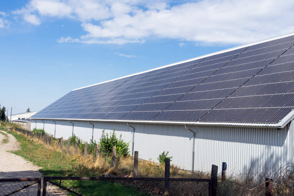 découvrez des stratégies efficaces pour optimiser l'énergie dans votre hangar agricole. améliorez la gestion énergétique, réduisez vos coûts et créez un environnement de travail plus durable pour vos activités agricoles.