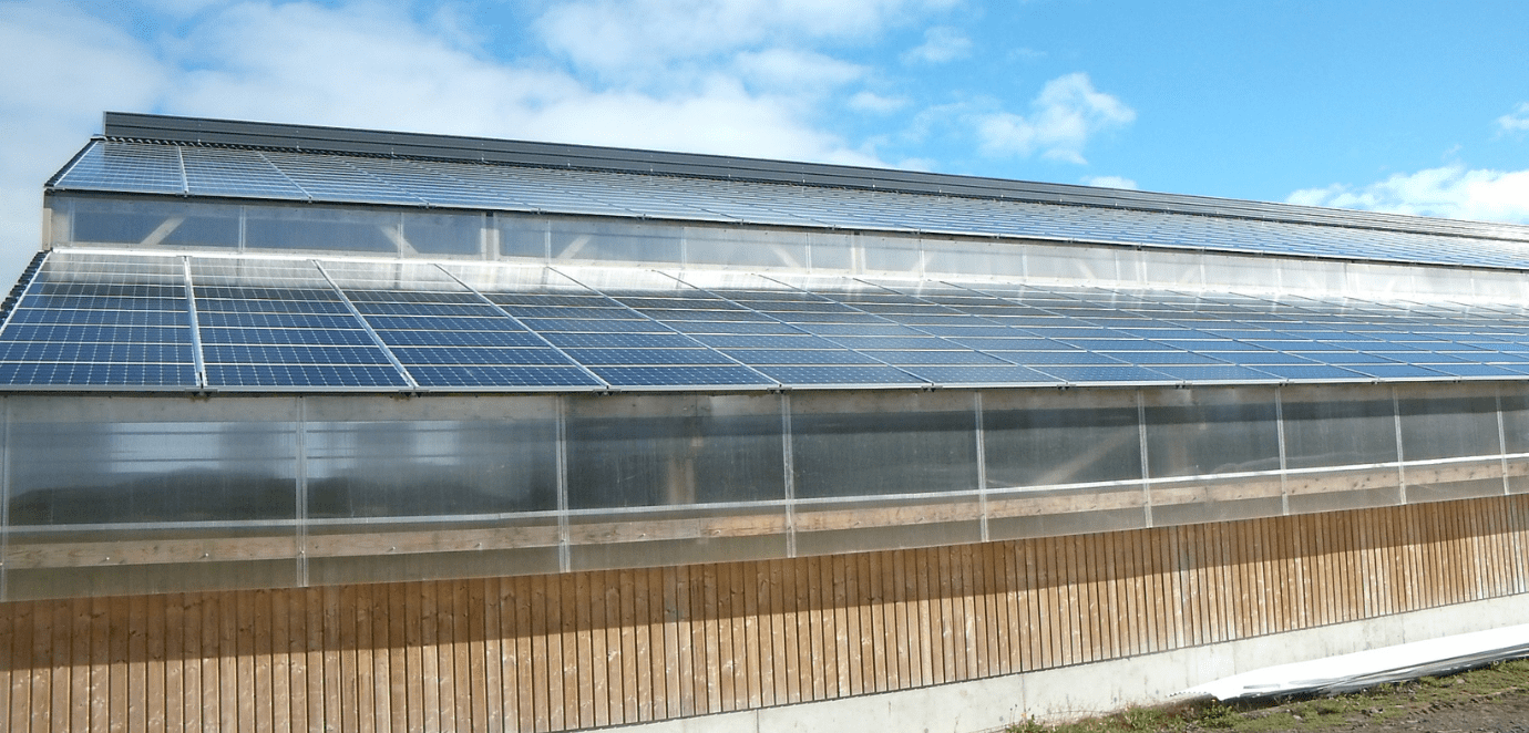 découvrez comment optimiser votre hangar avec des solutions d'énergie solaire. améliorez l'efficacité énergétique de votre espace tout en réduisant vos coûts et en contribuant à un avenir durable.
