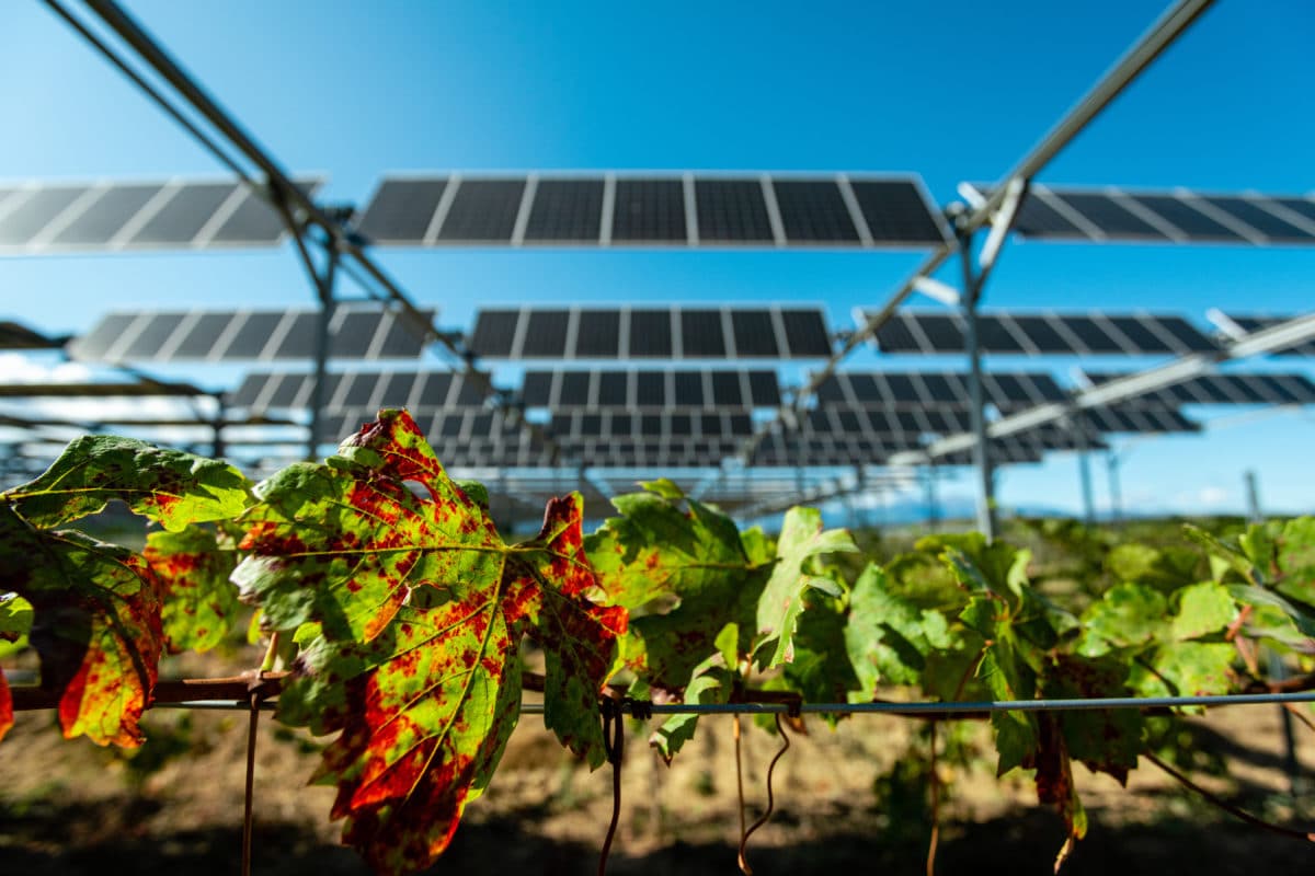 découvrez comment optimiser l'utilisation des panneaux photovoltaïques dans l'agriculture en 2025. améliorez votre rendement énergétique tout en contribuant à une agriculture durable et respectueuse de l'environnement.