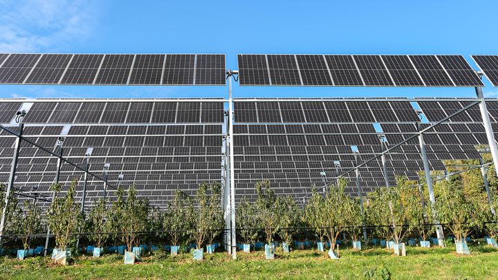découvrez comment les panneaux photovoltaïques révolutionnent l'agriculture durable en optimisant l'utilisation des ressources, en réduisant les coûts d'énergie et en contribuant à un avenir écologique. adoptez une approche innovante pour allier production agricole et respect de l'environnement.