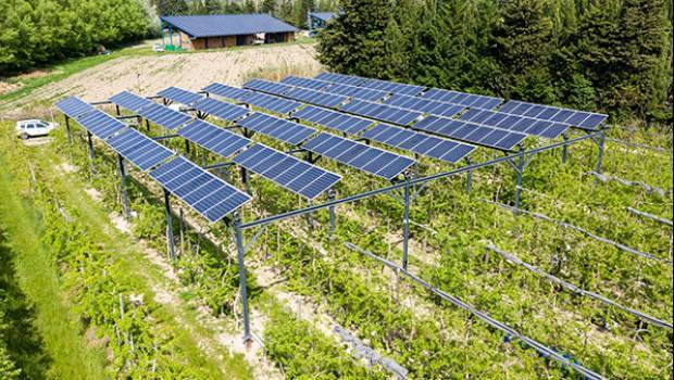 découvrez comment les panneaux photovoltaïques peuvent transformer le secteur agricole en offrant une source d'énergie renouvelable et économique. optimisez vos exploitations tout en réduisant votre empreinte carbone grâce à ces solutions innovantes.