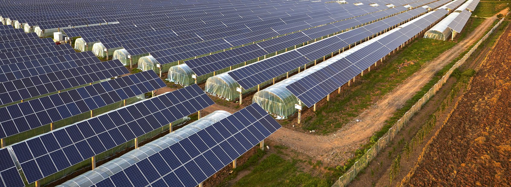 découvrez comment les panneaux photovoltaïques en bois révolutionnent l'agriculture durable. alliant écologie et innovation, ces solutions énergétiques contribuent à la réduction des coûts tout en préservant l'environnement.