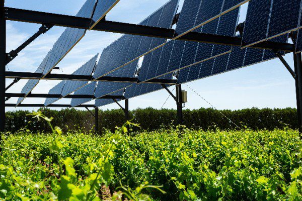 découvrez comment les panneaux photovoltaïques en bois transforment l'agriculture durable. optimisez votre production grâce à une énergie renouvelable éco-responsable et innovez pour un avenir vert.