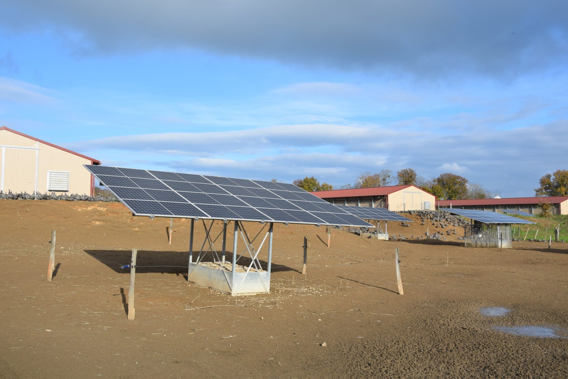 découvrez comment les panneaux photovoltaïques peuvent révolutionner l'élevage en réduisant les coûts énergétiques et en augmentant la durabilité. optimisez vos performances agricoles grâce à l'énergie solaire.