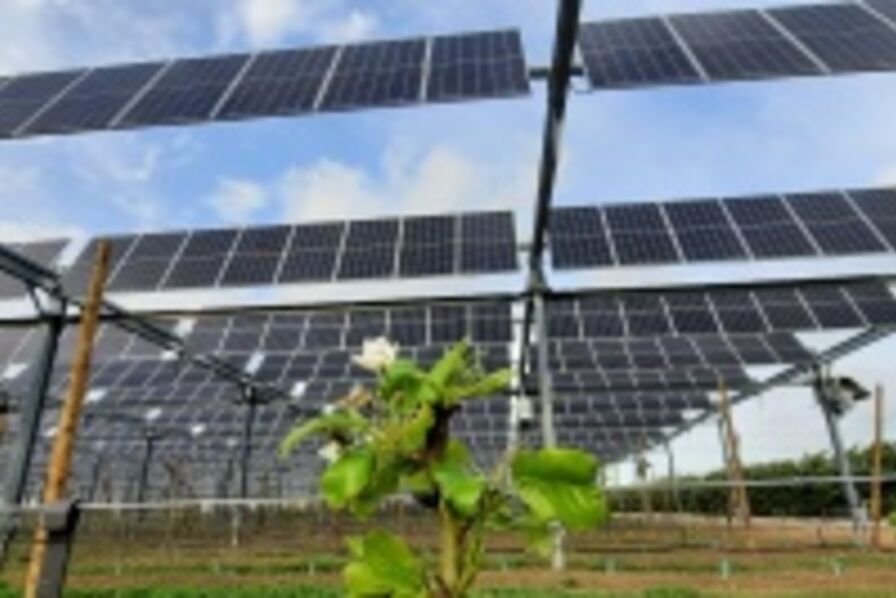 découvrez comment les panneaux solaires agricoles transforment les exploitations en sources d'énergie durables. optimisez votre production tout en réduisant vos coûts énergétiques et en préservant l'environnement grâce à des solutions photovoltaïques adaptées aux besoins des agriculteurs.