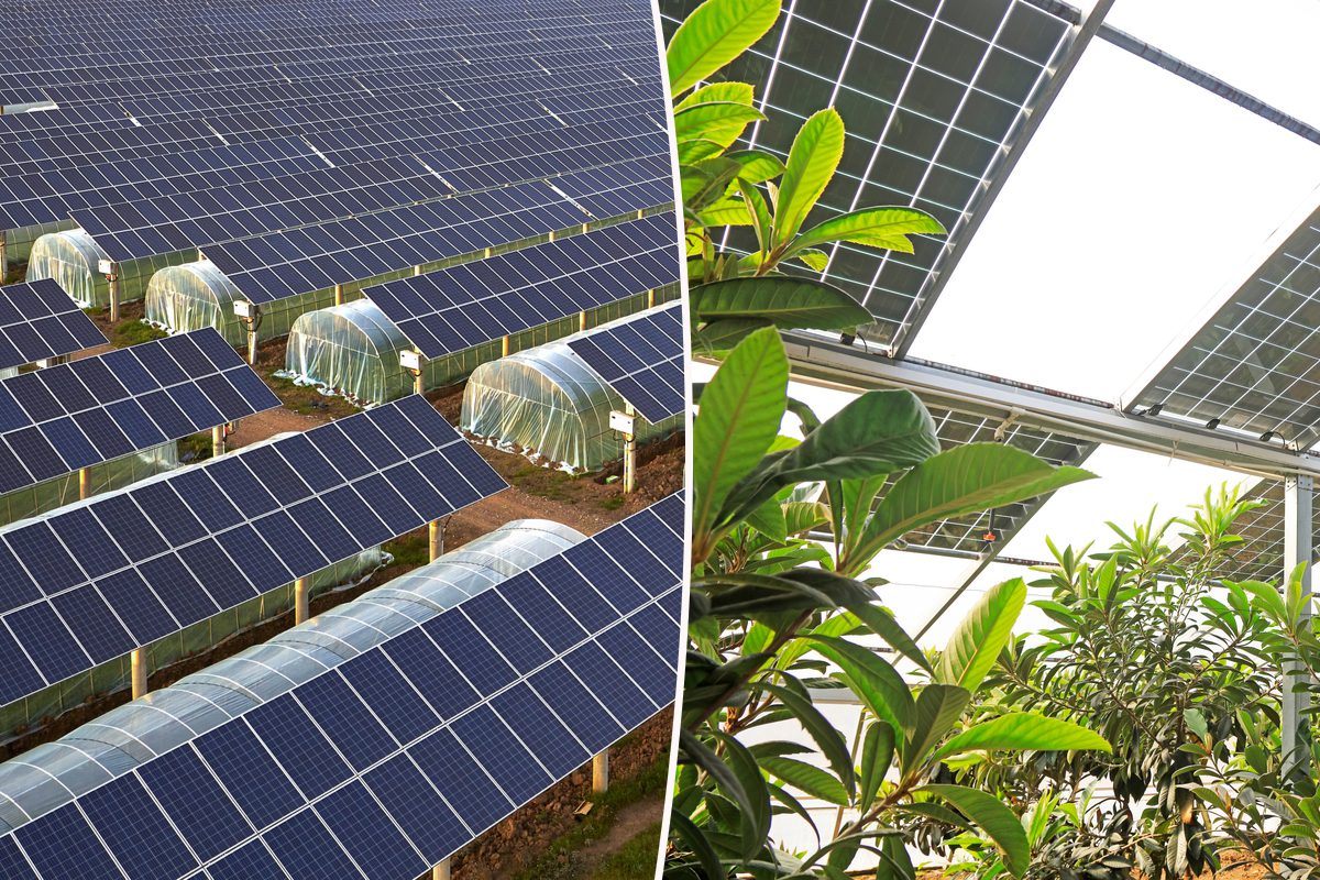 découvrez comment les panneaux solaires agricoles peuvent révolutionner votre exploitation en réduisant les coûts énergétiques, en augmentant la durabilité et en contribuant à une agriculture plus verte. adoptez l'énergie solaire pour un avenir durable et rentable!