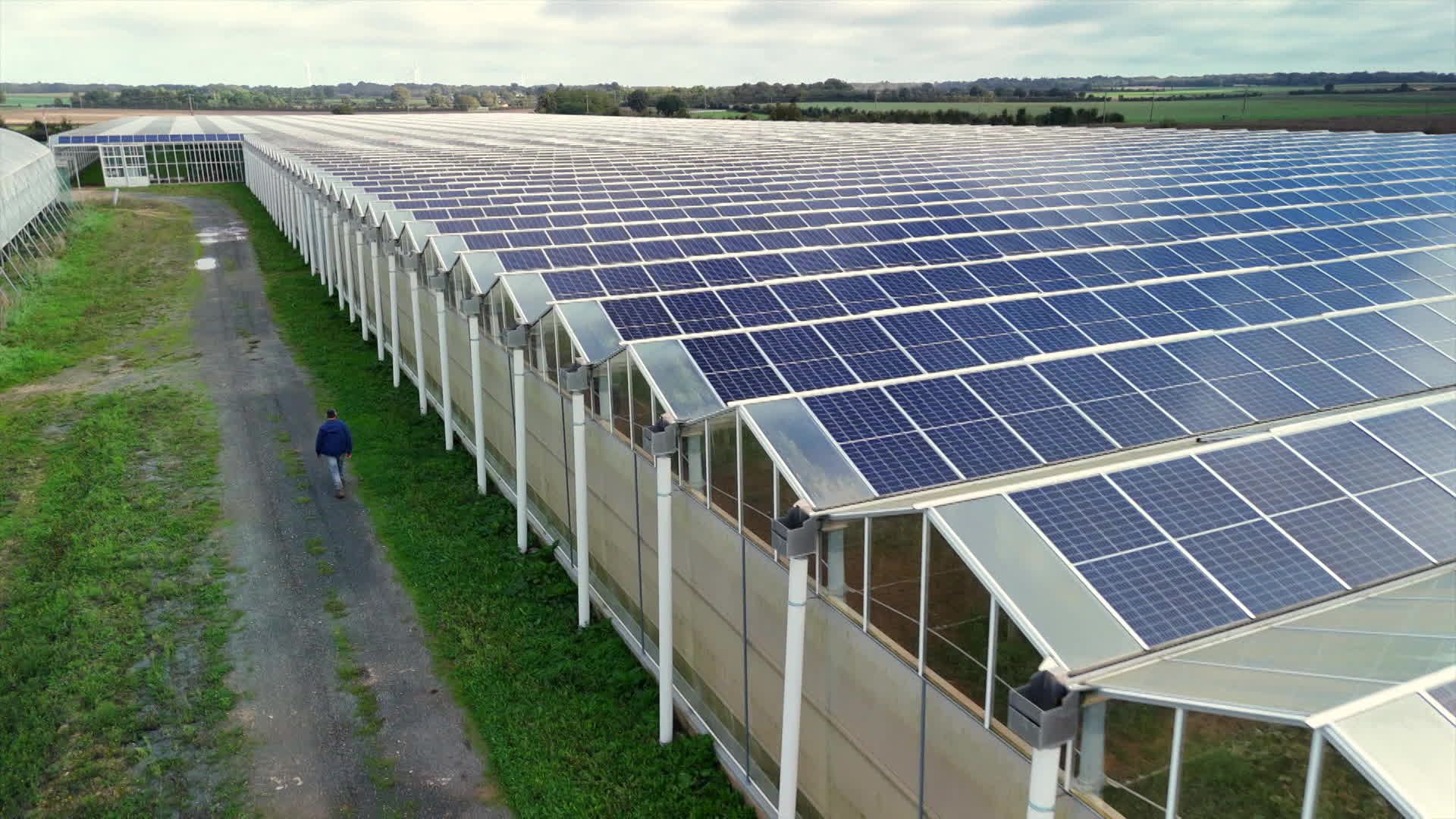 découvrez comment les panneaux solaires agricoles transforment l'énergie renouvelable pour les exploitations agricoles. optimisez votre production tout en réduisant votre empreinte carbone grâce à des solutions solaires innovantes adaptées à vos besoins.