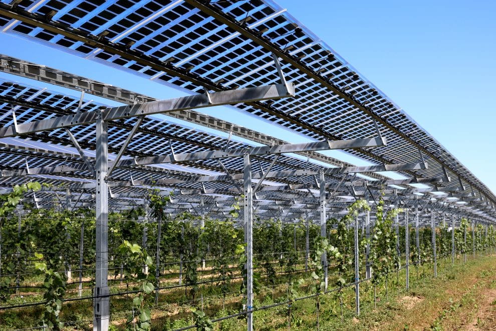 découvrez comment les panneaux solaires peuvent transformer l'agriculture en optimisant l'utilisation des ressources énergétiques. explorez les avantages économiques et environnementaux de l'énergie solaire pour les exploitations agricoles et apprenez comment intégrer cette technologie durable dans votre activité.