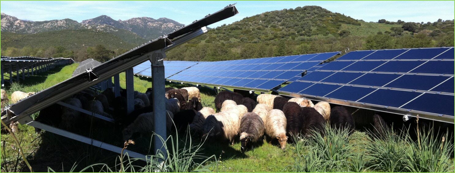 découvrez comment les panneaux solaires peuvent révolutionner l'agriculture en réduisant les coûts énergétiques et en permettant une exploitation plus durable. explorez les avantages, les applications et les solutions adaptées aux besoins des agriculteurs.