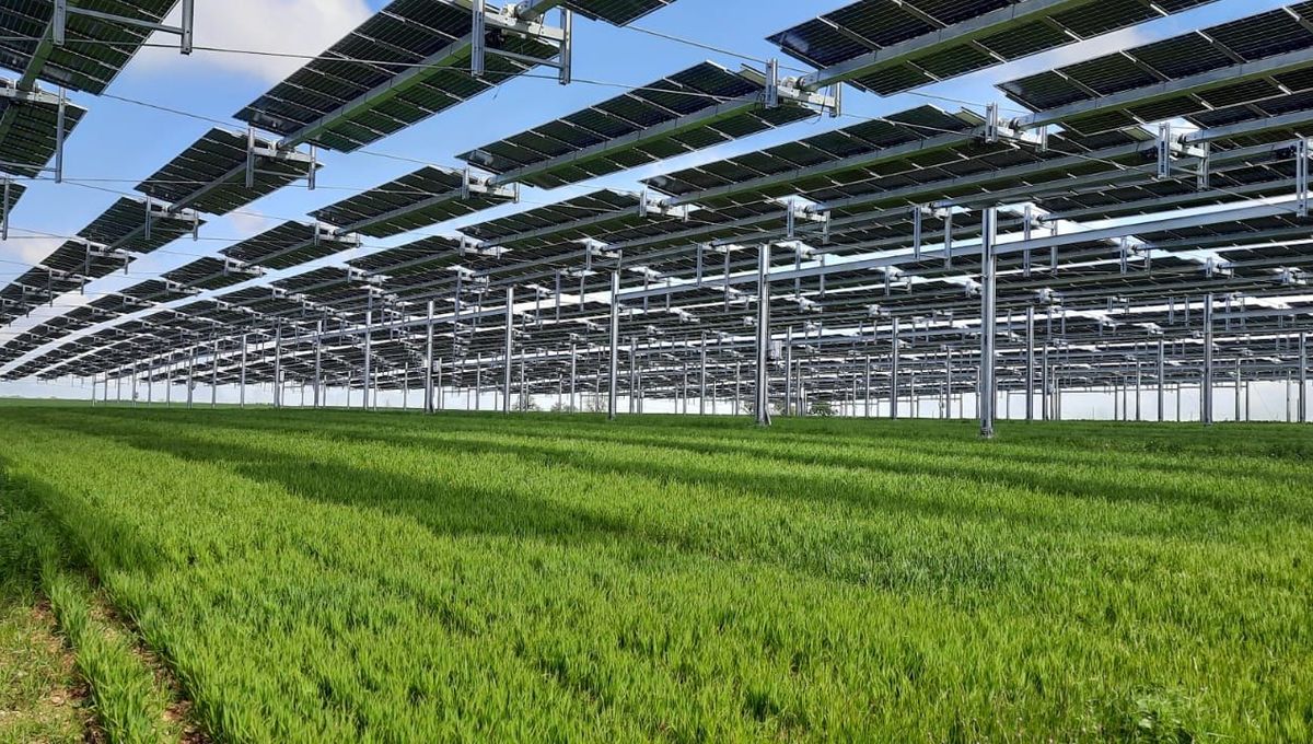 découvrez les avantages des panneaux solaires en côte-d'or. transformez l'énergie du soleil en électricité pour réduire vos factures et contribuer à un avenir durable. informez-vous sur nos offres et solutions adaptées à vos besoins énergétiques.