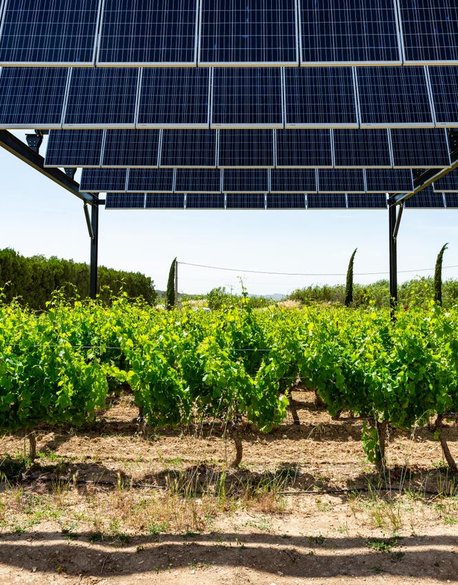 découvrez comment l'utilisation de panneaux solaires pourrait influencer les risques d'incendies agricoles. informez-vous sur les bonnes pratiques pour minimiser les dangers et maximiser les bénéfices environnementaux des énergies renouvelables.