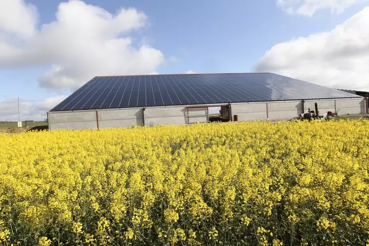 découvrez comment l'intégration de panneaux solaires peut améliorer la rentabilité de votre exploitation agricole. maximisez vos revenus tout en contribuant à une agriculture durable grâce à des solutions énergétiques innovantes.