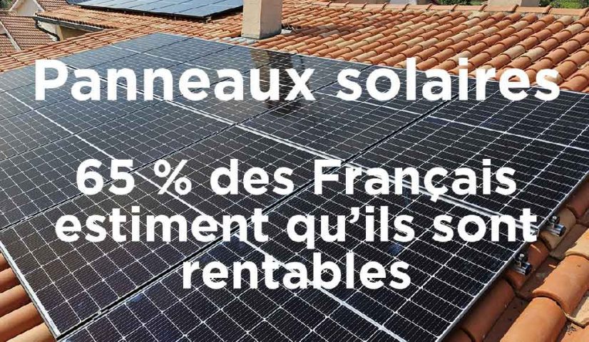 découvrez comment les panneaux solaires peuvent être une solution rentable pour réduire vos factures d'électricité tout en contribuant à la protection de l'environnement. informez-vous sur les avantages économiques et écologiques des panneaux solaires dès aujourd'hui.