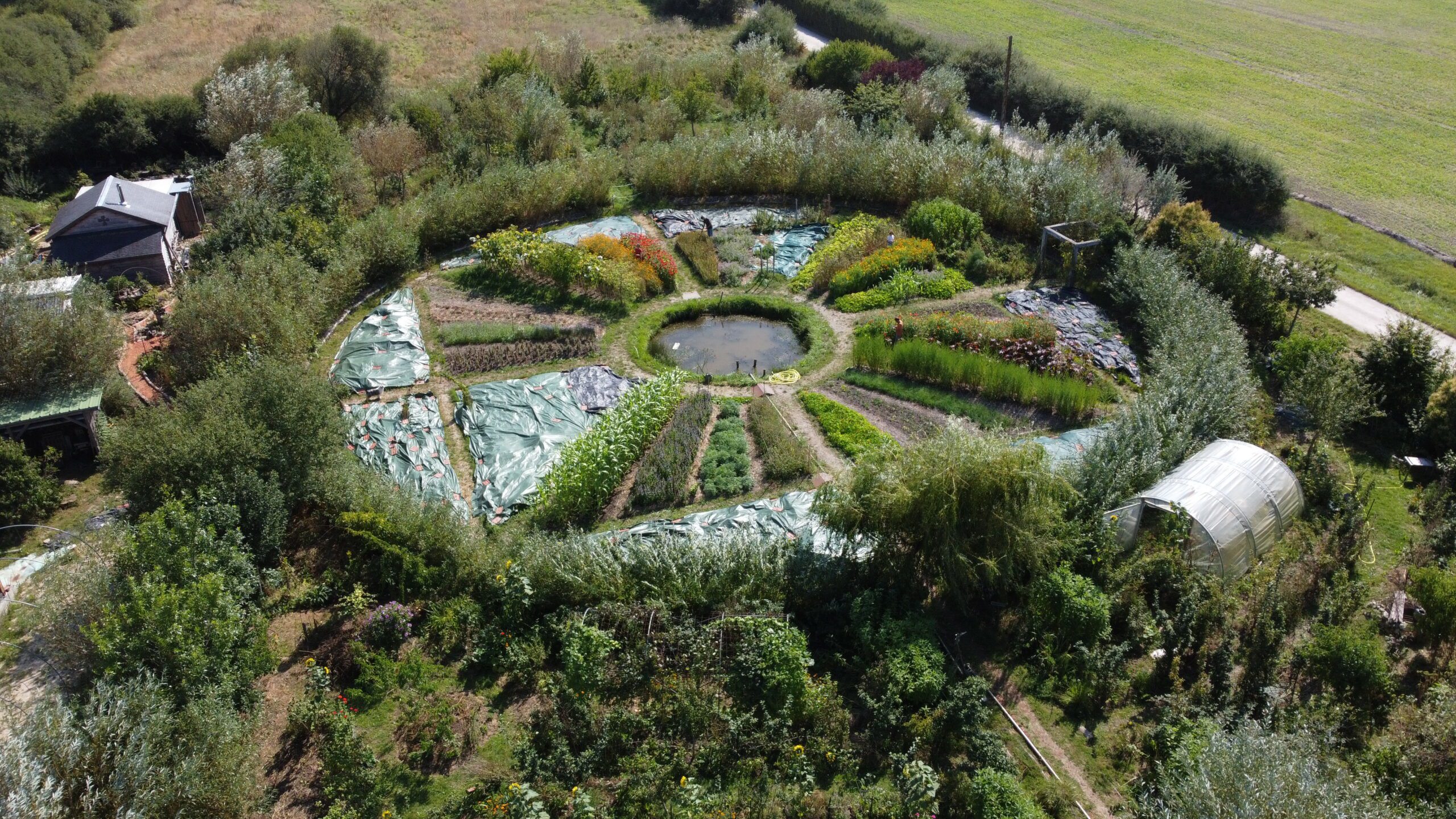 découvrez les principes de la permaculture, une méthode de culture durable qui respecte l'environnement et favorise la biodiversité. apprenez à concevoir des jardins résilients et productifs, tout en intégrant harmonieusement les écosystèmes naturels.