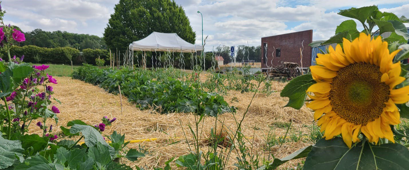 découvrez la permaculture, une méthode durable de culture qui respecte l'environnement et favorise la biodiversité. apprenez à concevoir des systèmes agricoles qui imitent les écosystèmes naturels, tout en produisant des aliments sains et en renforçant la résilience de nos sociétés.