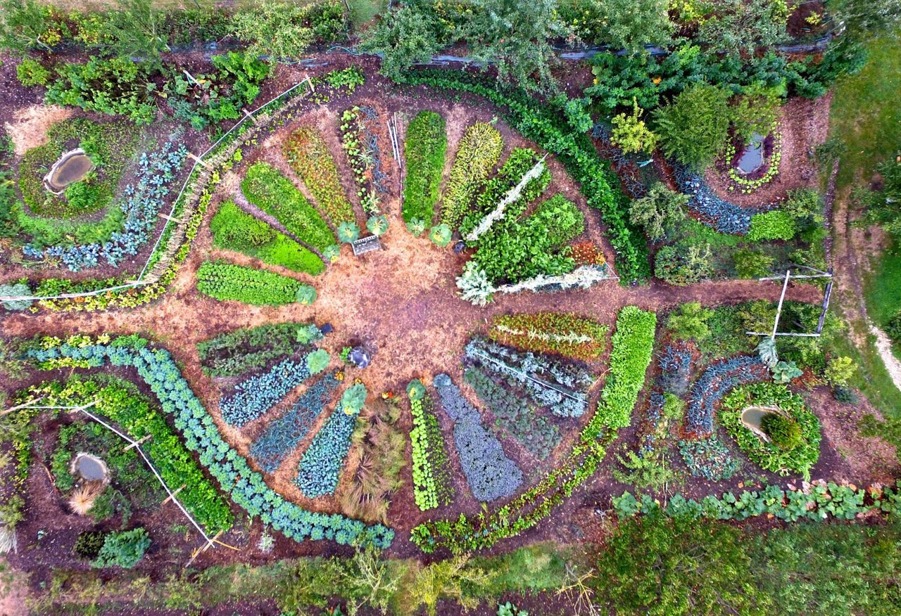 découvrez la permaculture, une méthode de jardinage durable qui respecte l'écosystème et favorise la biodiversité. apprenez à cultiver des plantes de manière harmonieuse tout en préservant les ressources naturelles.