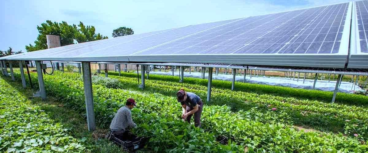 découvrez comment le photovoltaïque agricole transforme l'agriculture en alliant production d'énergie renouvelable et optimisation des cultures. adoptez des solutions durables pour un futur plus vert et productif.