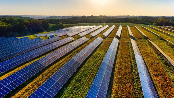 découvrez comment l'énergie photovoltaïque révolutionne l'agriculture en france. optimisez vos exploitations avec des solutions durables et rentables pour un avenir plus vert.