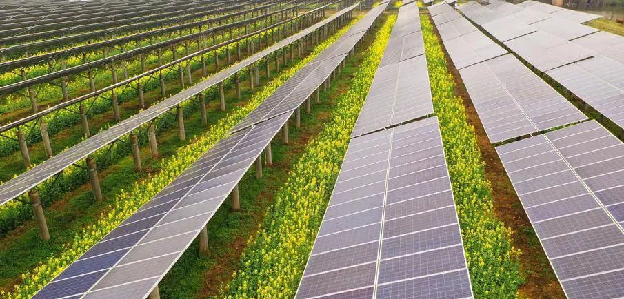découvrez les opportunités et défis offerts par l'énergie photovoltaïque dans le secteur agricole. analyse des impacts sur les exploitations, l'efficacité énergétique et les innovations durables qui façonnent l'avenir de l'agriculture.
