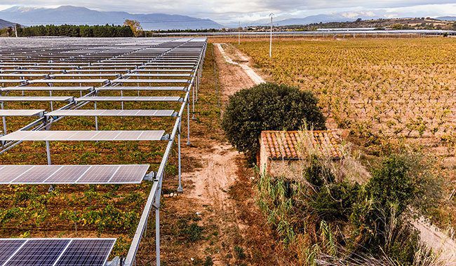 découvrez l'impact des panneaux photovoltaïques agricoles sur la durabilité et la rentabilité des exploitations. explorez les avantages, les technologies innovantes et les solutions pour intégrer l'énergie solaire dans l'agriculture moderne.