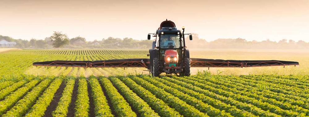 découvrez les pratiques agricoles durables qui préservent l'environnement, favorisent la biodiversité et assurent une production alimentaire responsable. apprenez comment ces méthodes innovantes peuvent améliorer la qualité des sols, réduire les pesticides et contribuer à une agriculture respectueuse de la planète.