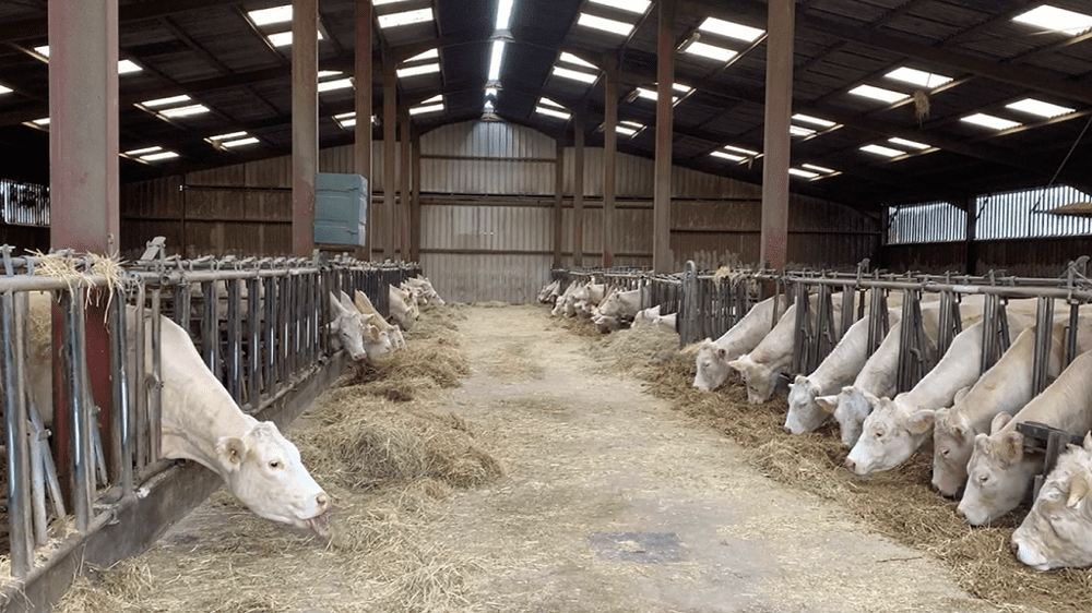 découvrez les différents prix des bâtiments agricoles en france. obtenez des informations sur les coûts de construction, les subventions disponibles et les tendances du marché pour optimiser votre investissement dans l'agriculture.