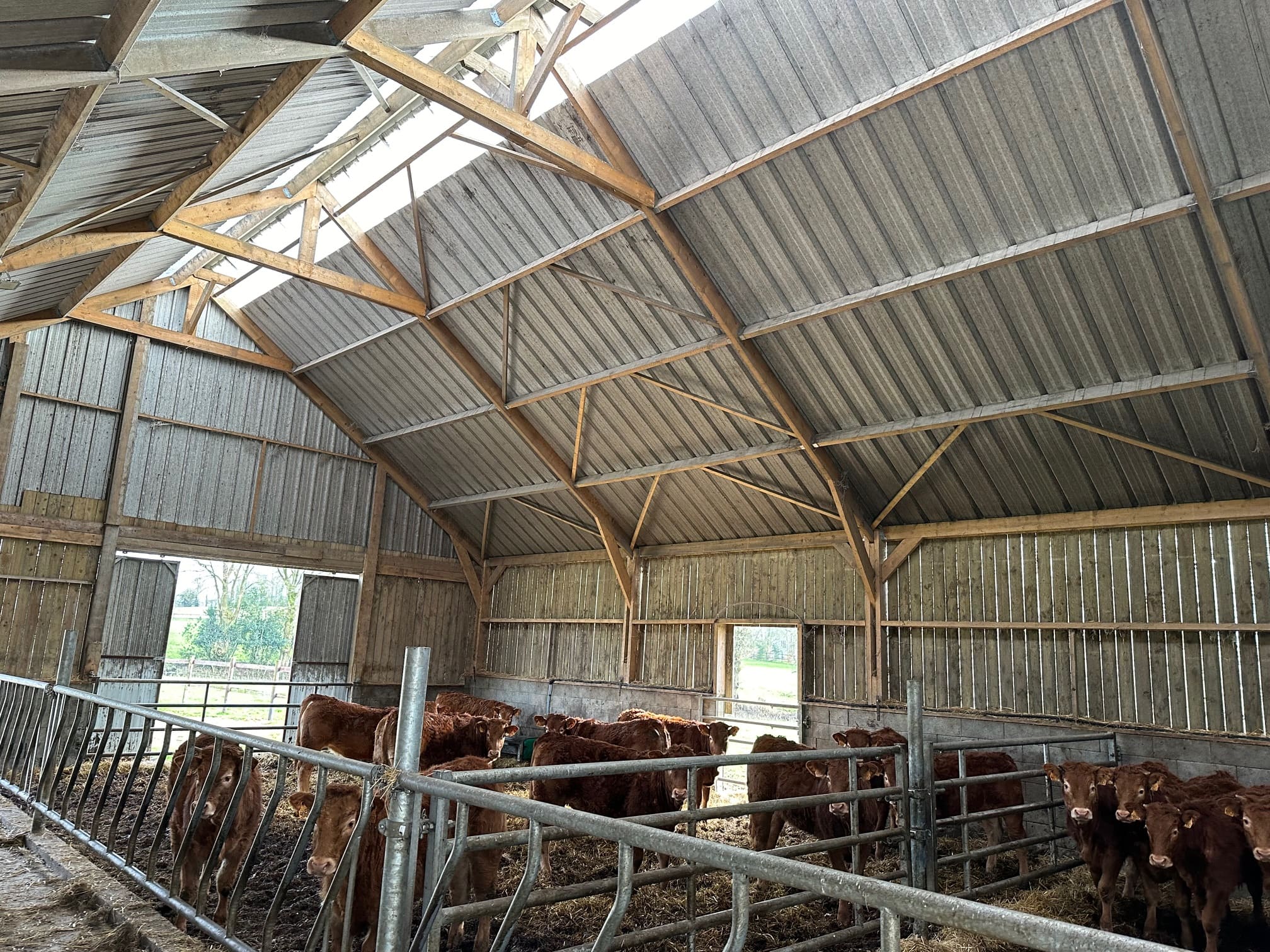 découvrez les prix des hangars agricoles et trouvez la solution idéale pour vos besoins de stockage. comparez les options disponibles et bénéficiez de conseils pour optimiser votre investissement.