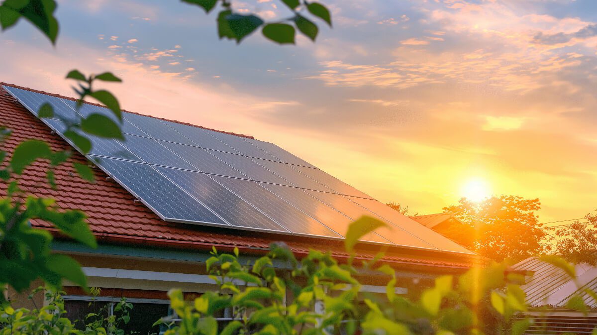 découvrez les prix des panneaux solaires pour optimiser votre consommation d'énergie. comparez les coûts, bénéficiez d'informations sur les subventions et choisissez la solution adaptée à vos besoins écologiques et économiques.