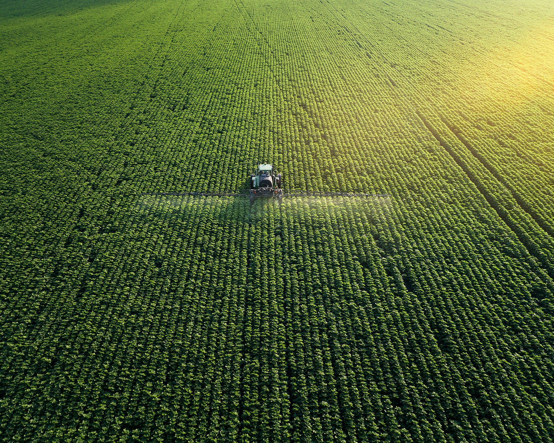 découvrez les innovations qui révolutionnent la productivité agricole. explorez des technologies, des pratiques durables et des méthodes modernes qui boostent les rendements tout en préservant l'environnement.
