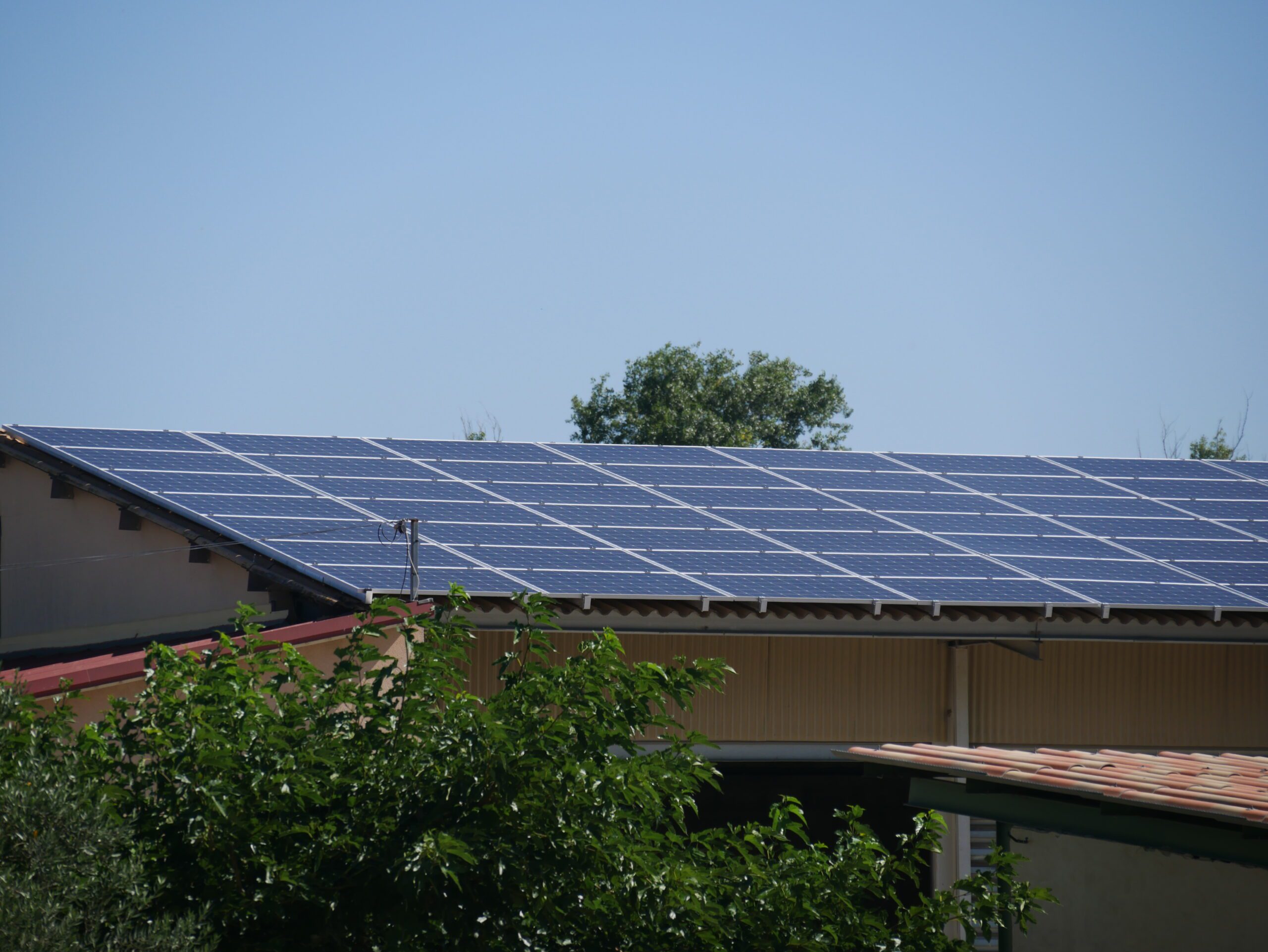 découvrez comment les panneaux solaires peuvent transformer l'agriculture en maximisant les profits. apprenez les avantages économiques et environnementaux de l'installation de systèmes solaires sur vos terres agricoles.