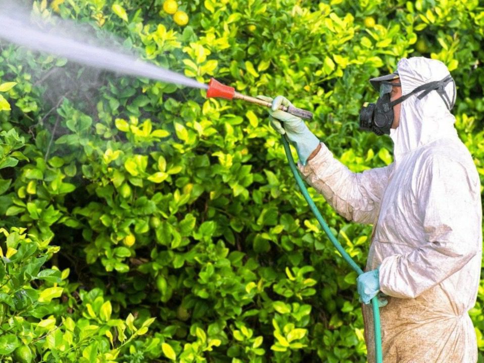 découvrez des solutions efficaces pour la protection des cultures, alliant techniques traditionnelles et innovations modernes pour garantir la santé de vos plants et la qualité de vos récoltes.