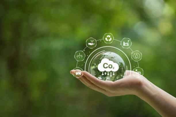 découvrez l'importance de la publicité verte et son rôle dans la sensibilisation à la conscience écologique. explorez des stratégies innovantes pour promouvoir des produits durables et contribuer à un avenir respectueux de l'environnement.