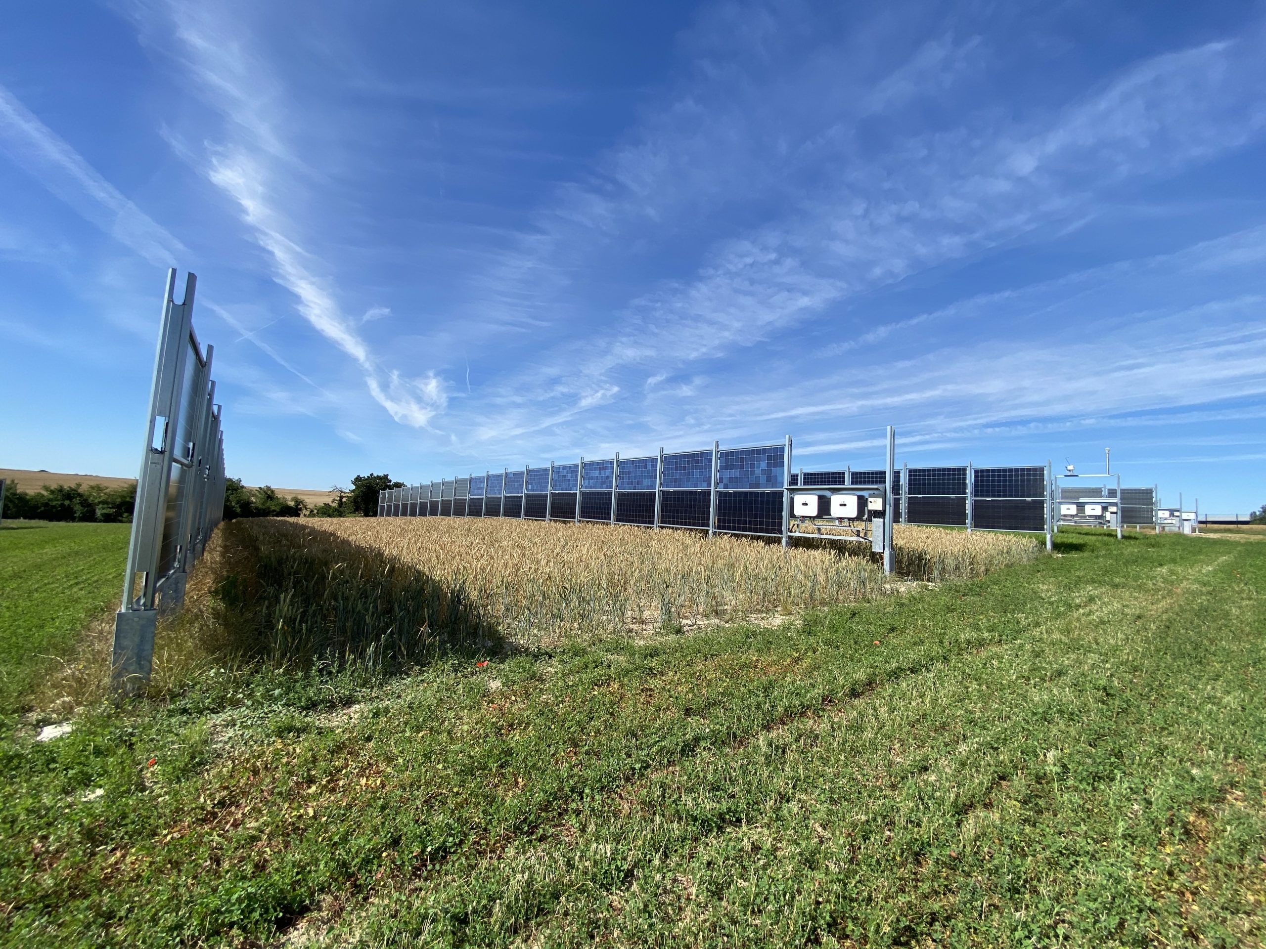découvrez comment le photovoltaïque agricole durable transforme les exploitations en alliant production d'énergie verte et préservation de l'environnement. explorez les avantages économiques et écologiques des panneaux solaires sur les terres agricoles.