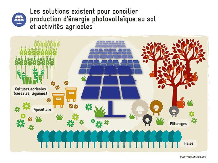 découvrez comment le photovoltaïque agricole durable transforme les exploitations en alliant efficacité énergétique et respect de l'environnement. maximisez vos rendements tout en contribuant à la préservation des ressources naturelles.